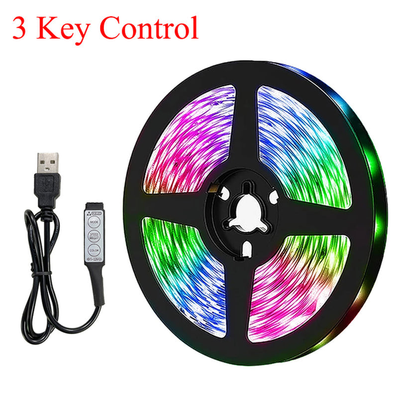 10M 20M LED Strip Lights RGB 5050/RGBIC WS2812B Infrared Bluetooth Ontroller TV Backlight Room Luces Luminous Decorate Fita Lamp